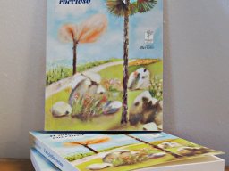 Armonie di colori e poesia